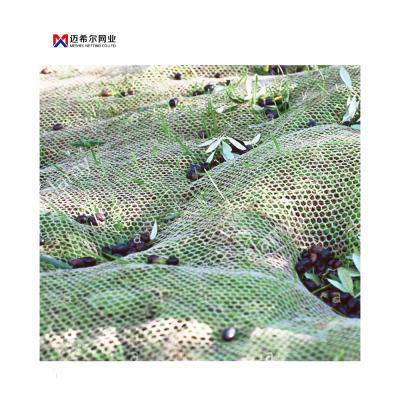 China 3~10 Years Plastic Dark Green Olive Net And Harvest Olive Net For Agricultural for sale