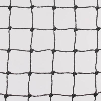 China At Least 3~5 Years Virgin Netting Anti Bird Hunting 100% HDPE Extruded To Catch Anti-bird Netting Mesh For Agriculture Anti Bird Netting for sale