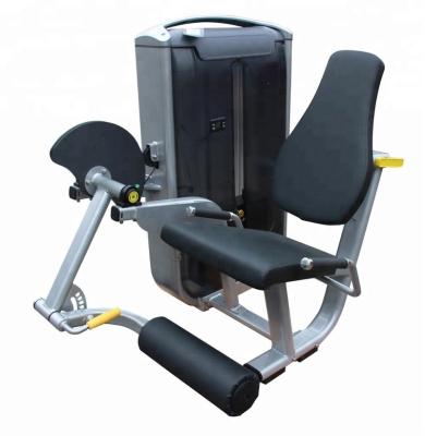 China Commercial Q235 steel fitness equipment for bodybuilding leg extension AXD-8002 for sale