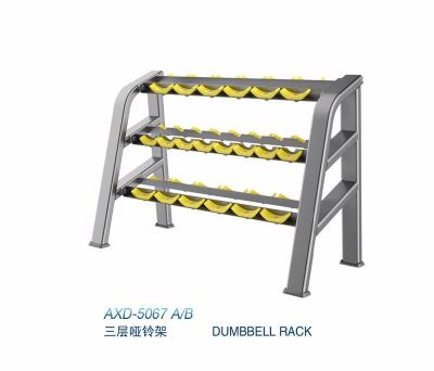 China Q235 Steel Dumbbell Rack AXD-5067 Customized Dumbbell Set Commercial Gym Equipment for sale