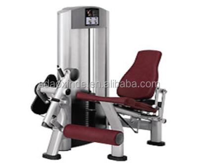 China 2016 Most Popular Steel Tube Q235 Fitness Equipment Seated Leg Extension For Gym for sale