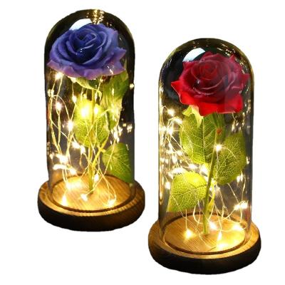 China Hotel and Resort LED Enchanted Galaxy Rose Eternal Foil Flower With Fairy String Lights in Dome for Christmas ValentineDay Special Creative Gift for sale