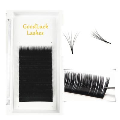 China Full volume eyelash extensions 0.07 individual mini fans for eyelash extension for sale