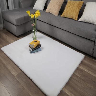 China Amazon Washable Deco Carpets Living Room Blankets Warm Home Adult Polyester Cotton Faux Fur Blanket Selling Machine Made and Modern Oval Digital for sale