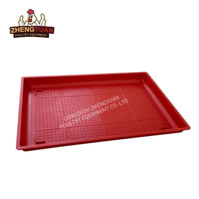 China Poultry Farm Chicken Feeding Wholesale Square Type Red Color Plastic Chicken Broiler Baby Feeders Poultry Feeding Tray for sale