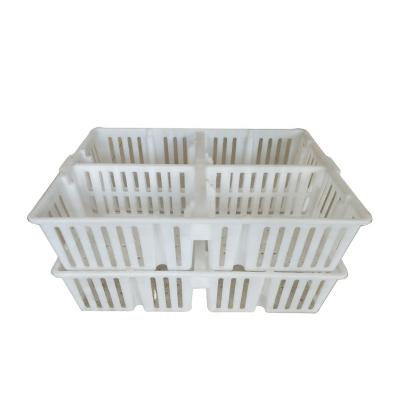 China Farms Living Chicken Carrier Cage Chick Turnover Box Poultry Plastic Transport Crate For Duck Chicken Pigeon for sale