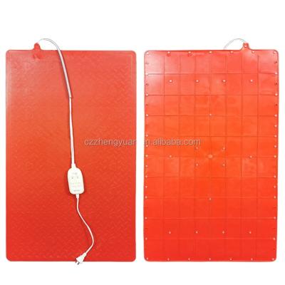 China Electric piglet heating protection plate for pigs pig heating plate insulation board pig heating plate for poultry farm electric piglet heating protection plate for pigs for sale