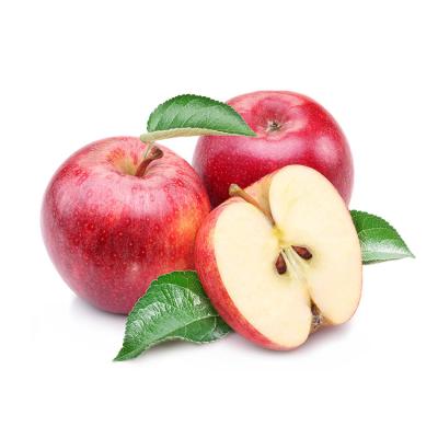 China Fresh fruit product type of pome fruit and common type bulk grown fresh apples for sale