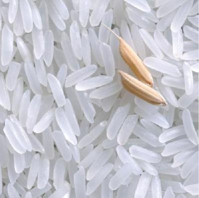 China Best Biggest Selling Fresh Rice Products Supplier for sale