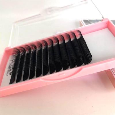 China Long Mink Easy Fanning Eyelash Trays Natural Lash Extension Tweezers Eyelash Extensions for sale