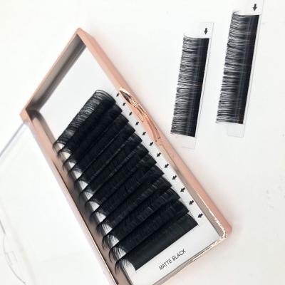 China Hot Sale Natural Long Eyelash Wholesale Private Label Mink Eyelash Extensions Different Lash Trays for sale