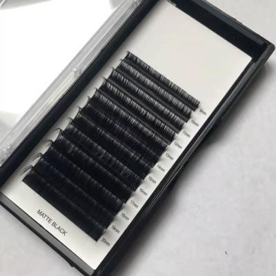 China Best Selling Natural Products 2020 In USA Amazon Wholesale Eyelashes Group Eyelashes Lashextensions 2020 Eyelash for sale