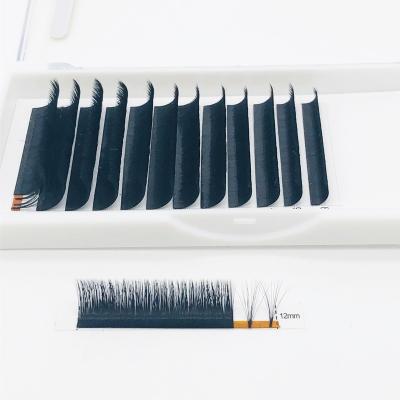 China Professional Natural Long Lash Tweezer Eyelash Extension Glue Eyebrow Extensions 8-25Mm Eyelash Extension Eyelash Extension for sale