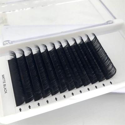 China Natural Single Long Length Lash Extension Private Label Blooming Whips Individual Eyelash Flower Freely for sale