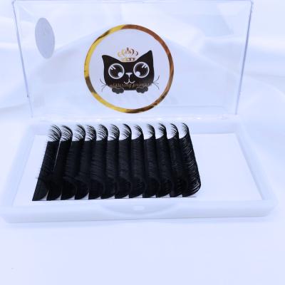 China Long Lashes Natural Flat Individual Classic Flower Lashes Korea Eyelash Extension for sale