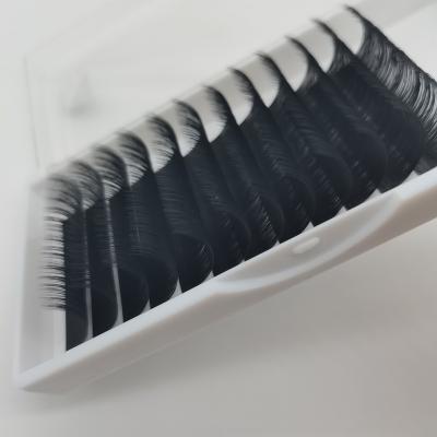 China Natural Long False Mink Eyelash Extensions False Lash Remover for sale