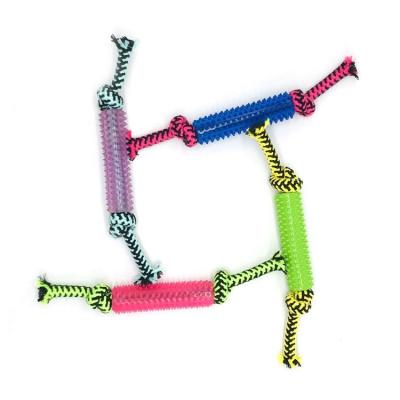 China New Arrival Sustainable Pet Cotton Rope TPR Toy Dog Small Dog Indoor Teeth Cleaning Toys for sale