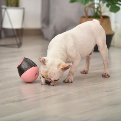 China Factory Direct Sale Cat Toys Pet Tumbler Spill Viable Funny Ball Pet Entertainment Toys Shape Slow Feeding Ball for sale