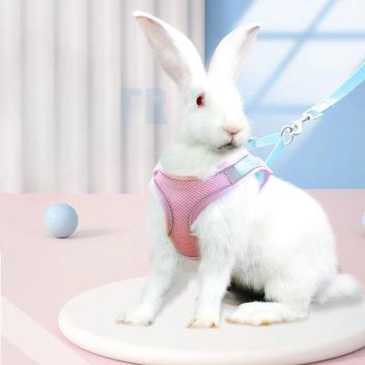 China 2023 New Dog Lights 2023 Small And Medium Pet Traction Rope Pet Vest Chest Strap Bestselling Pet Traction Rope for sale