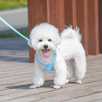 China Cheap Summer Safety Breathable Rope Lights For Dogs Pet Design Cat And Dog Trunk The New Outdoor Rope Pull And Back Pull for sale