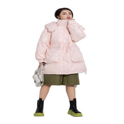 China Hot Selling Breathable Women Warm Shiny Winter Down Jacket Duck Down Jacket With Hood White High Quality for sale