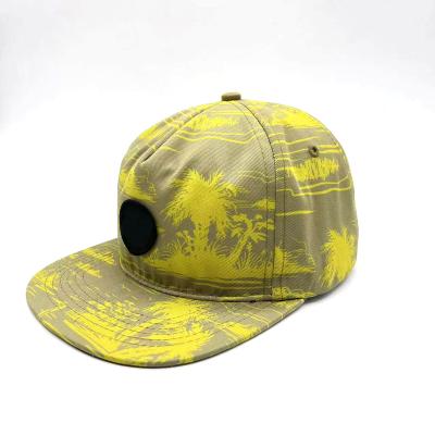 China Custom Logo Snapback Hats Cap Embroidery COMMON Snapback Sports Hat Plain Snapback Cap for sale