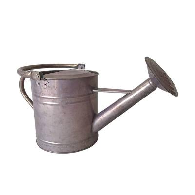 China Bright Color Different Size Metal Garden 1 Gallon Metal Watering Can With Long Spout for sale