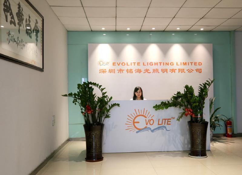 Verified China supplier - Shenzhen Evolite Lighting Limited