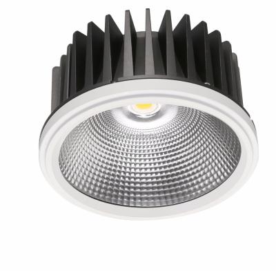 China New design21W EUROPE COB LED Downlight replace 35w&70w metal halide lamp downlight for sale