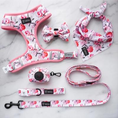 China Custom Reversible Lights Dog Harness Adjustable Bow Collar Leash Harness and Bandana Sets for sale