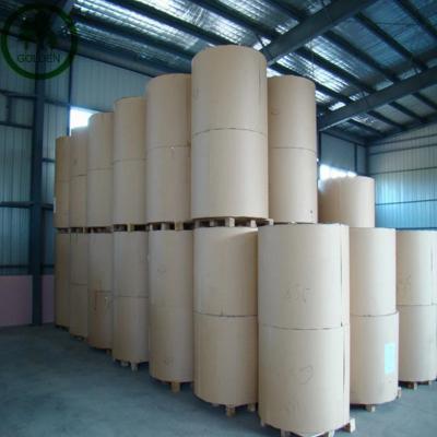 China Food Grade Biodegradable Bulk Single PE Paper Cup Coated Bottom Roll Top Roll For Making Paper Cups for sale