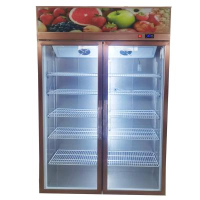 China Single-temperature frozen food display freezer use in home and store for sale