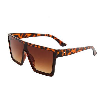 China Fashion Sunglasses 1196 Trending Square Frame Sunglasses Men And Women Black Leopard Coffee One Piece Sunglasses for sale