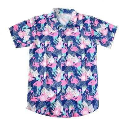 China Awesome Hawaiian Clothing Casual Shirt Anti-wrinkle Beach T-Shirt For Men for sale