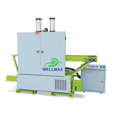 China Full automatic wood process sight saw series machine SM-30-30 for woodworking blanking square wood cutting for sale