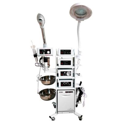 China Skin Relaxing To Build You Own Machine Multifunctional Beauty Facial Machine for sale