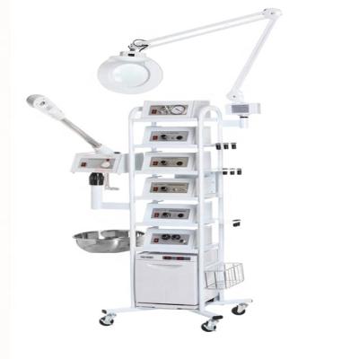 China Multifunctional 12-in-1 Beauty Plastic Facial Equipment Machine for sale