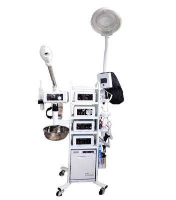 China New kind of 11 in-1 beauty salon high quality FK-9003 multifunctional facial machine for sale