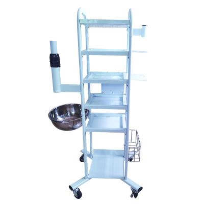 China Hotel Best Price 4 Tier Trolley Beauty Salon Trolley Tool Factory Direct for sale