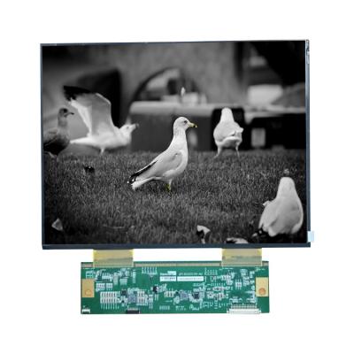 Κίνα 18.5 Inch 1366*768 TFT Automotive Display LCD Panel HSD121KXN1-A10-0299 LCD IPS Screen προς πώληση