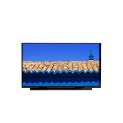 China BOE NE170QDM-NZ1 17,0 inch 2560*1600 a-Si TFT-LCD LCM Te koop