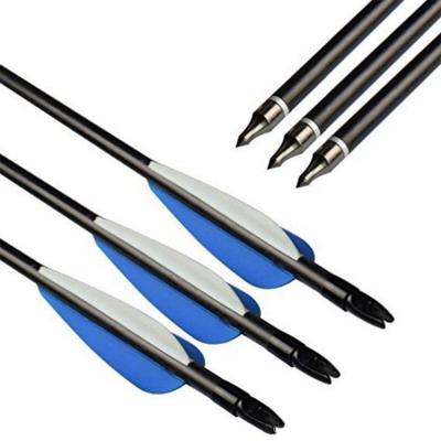 China Archery Hunting and Shooting Fiberglass Hunting Archery Complete Arrows for Recurve Compound Bow for sale