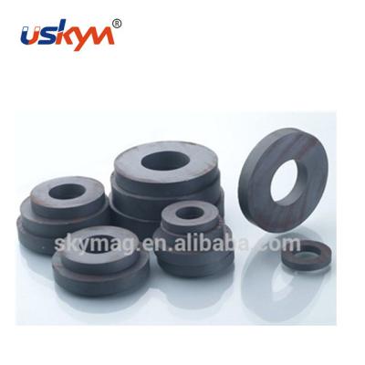 China Cosmo Magnetizing Industrial Magnet Ring Permanent Ferrites for sale