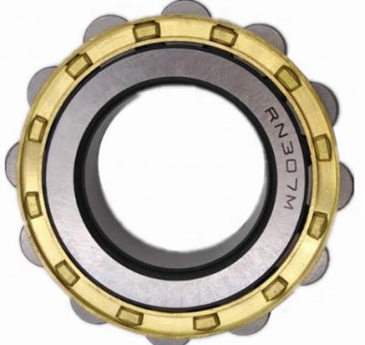 Chine Construction Material Shops NYZ SKF FAG Bearing Cylindrical Roller Bearing RN307M With High Quality à vendre