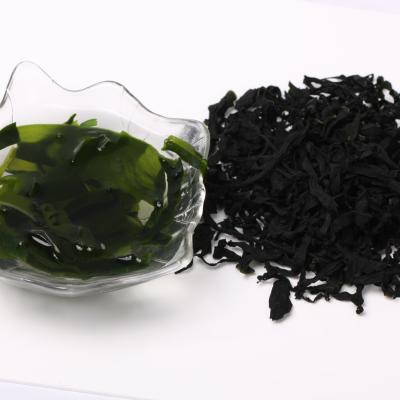 China High Quality and Delicious FROZEN Dried Cut Fresh Wakame Seaweed for sale