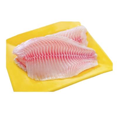 China Dirty Vitamins Tilapia Filet Hot Freeze Precio Vacuum Pack for sale