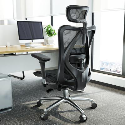 China Sihoo Factory M57 Hot Sale Ergonomic Adjustable Height Cloth High Back Mesh Chair Whole (Height) Office Chair for sale