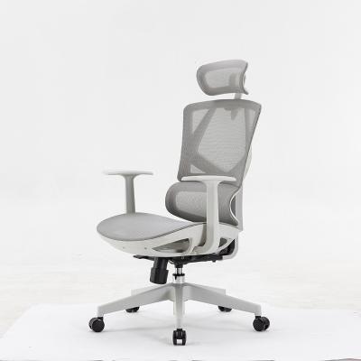 China SIHOO 2021 New High Back Gray Ergonomic Chair Mesh Office Chair M91(Height)Adjustable Hot Sale For Kids for sale