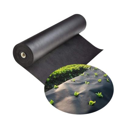 China 100% eco-friendly waterproof pp spunponded nonwoven fabric roll for weed control ground cover for sale