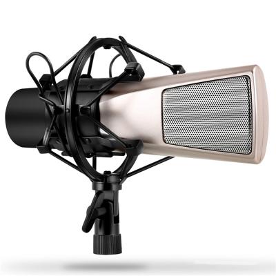 China Headset microphone Xiaokoa studio microphone condenser professional recording condenser microphone for studio for sale